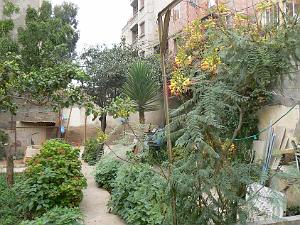 6 rue gl. Ferradou le jardin- Gambetta 